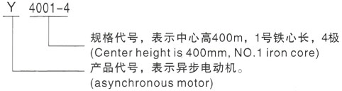 西安泰富西玛Y系列(H355-1000)高压YKK500-10三相异步电机型号说明