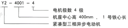 YR系列(H355-1000)高压YKK500-10三相异步电机西安西玛电机型号说明